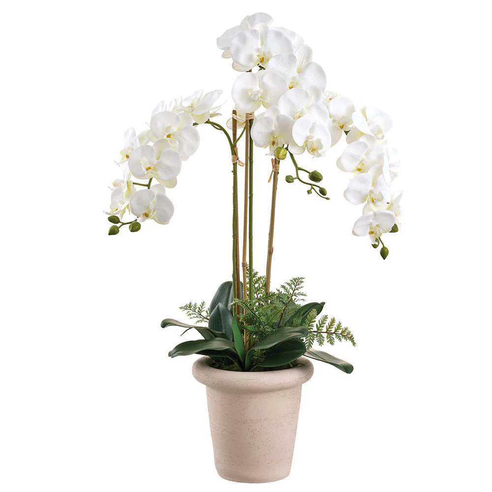 36" Phalaenopsis Orchid Silk Flower Arrangement w/Terra Cotta Pot -White/Green