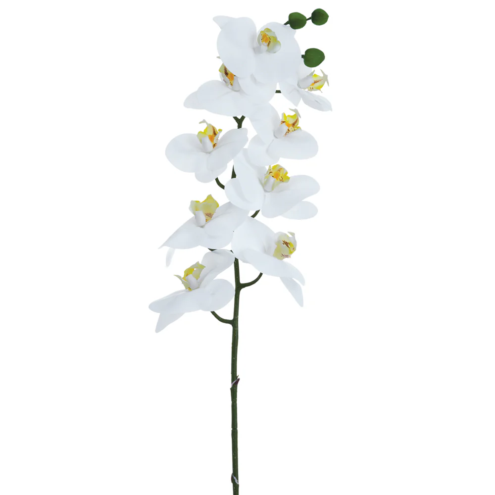 36" Phalaenopsis Orchid Silk Flower Stem -White (Pack of 12)