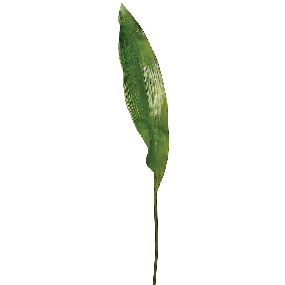 36" Silk Apista Leaf Stem -Green (Pack of 12)