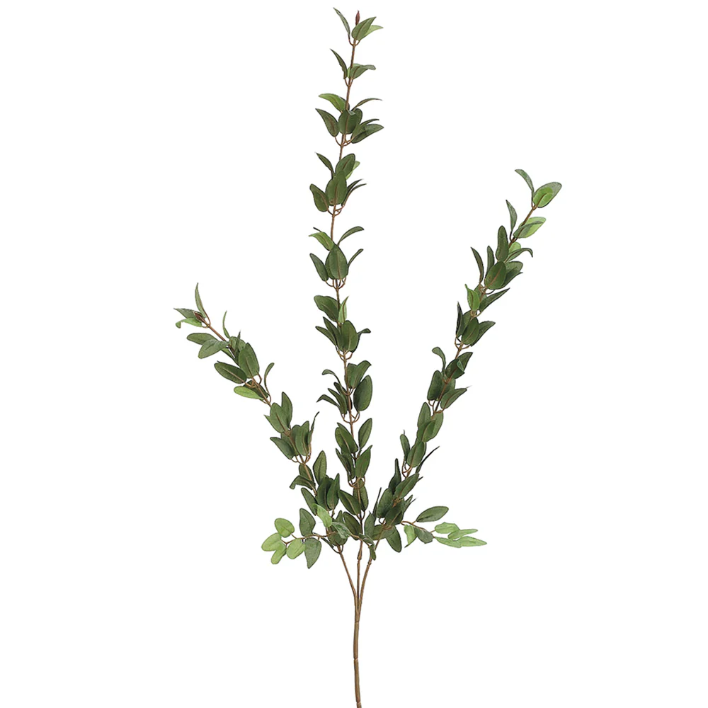 36" Silk Huckleberry Stem -Green (Pack of 12)