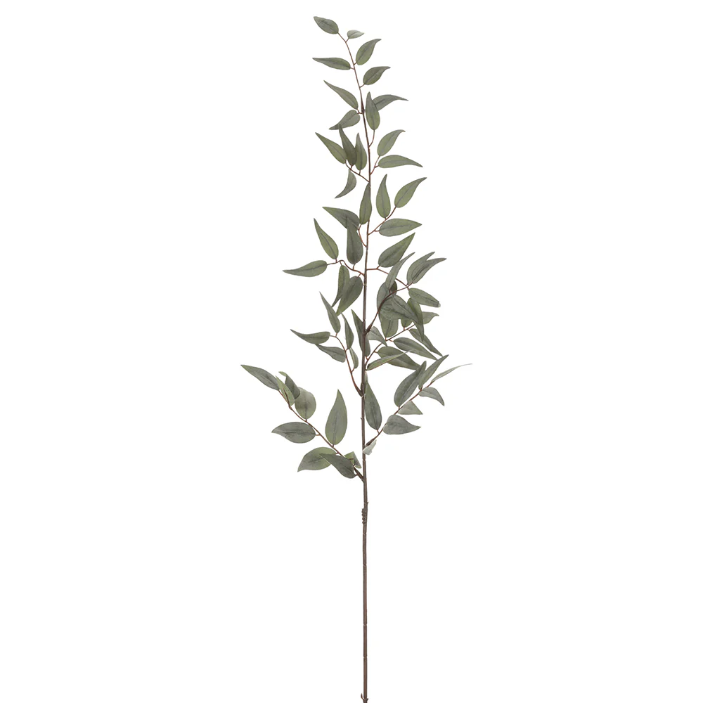 36" Silk Italian Ruscus Leaf Stem -Green (Pack of 12)