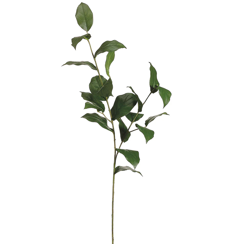 36" Silk Lemon Leaf Stem -Green (Pack of 12)