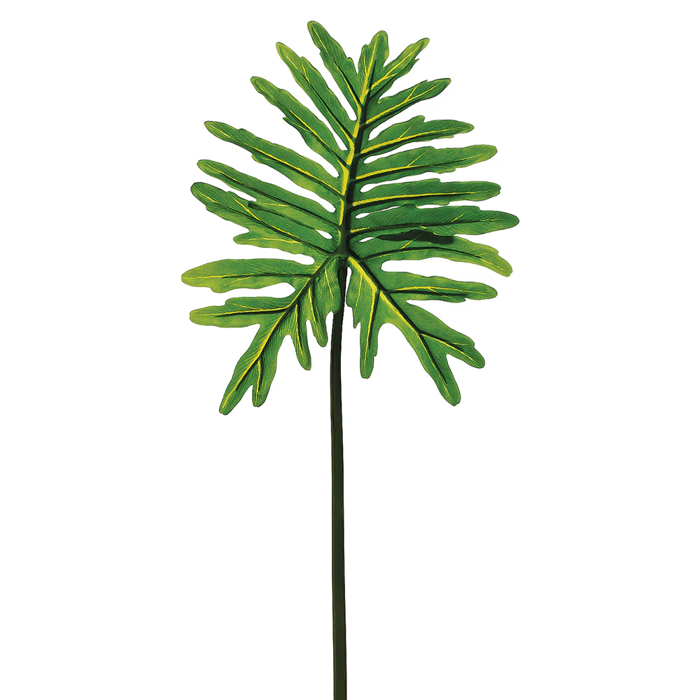36" Silk Selloum Leaf Stem -Green (Pack of 12)