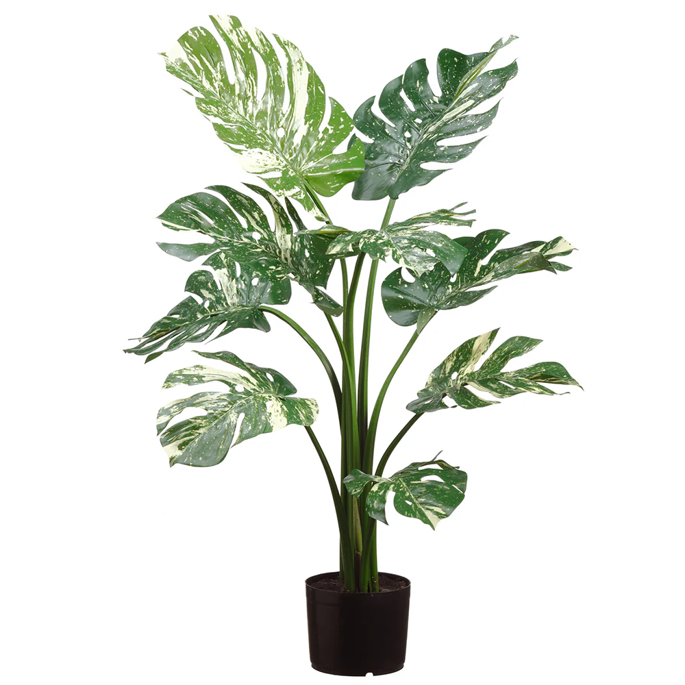36" Silk Split Philodendron Monstera Plant w/Plastic Pot -Green/Cream (Pack of 2)