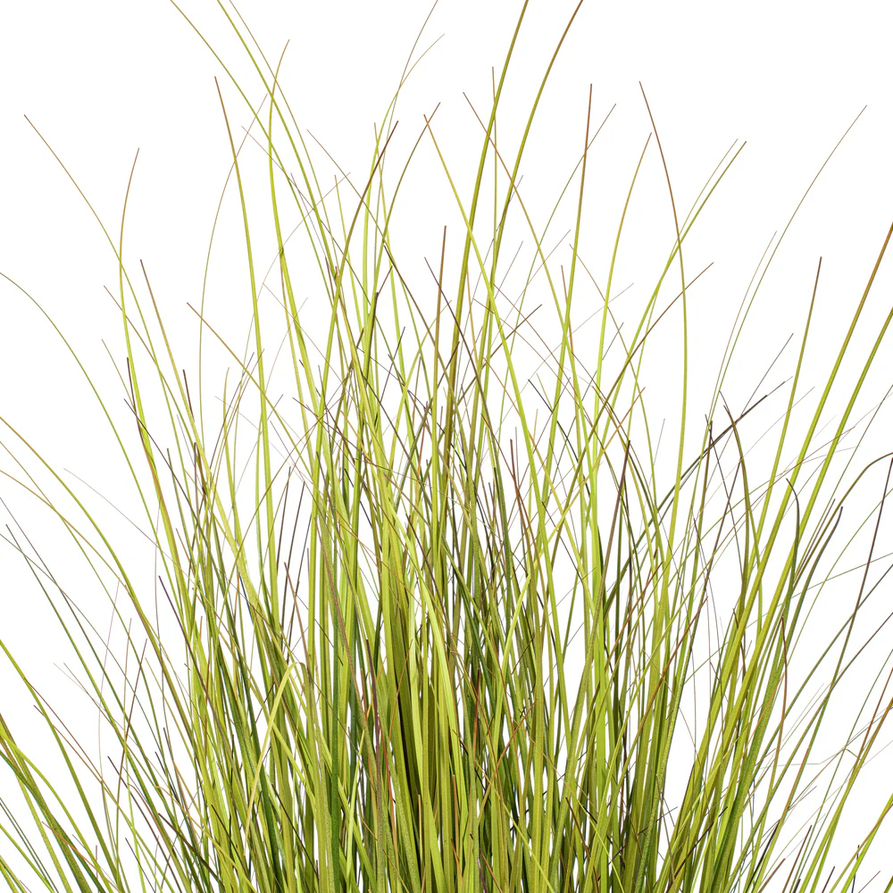 36" Switchgrass Artificial Plant w/Pot -Green/Brown - Image 2