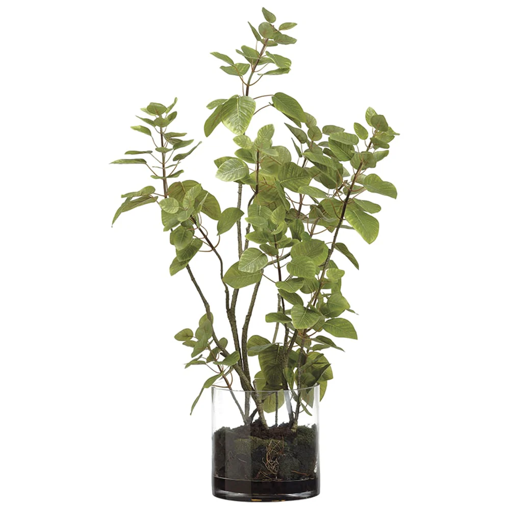 36"Hx23"W Cotinus Artificial Plant w/Soil & Glass Vase -Green