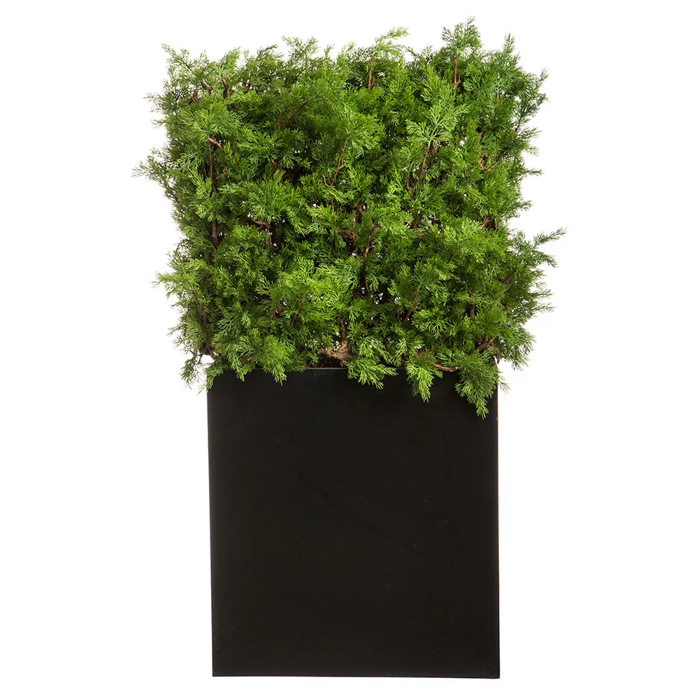 36"Hx34"W Outdoor UV-Resistant Artificial Ming Juniper Topiary Hedge w/Black Glossy Planter -Green