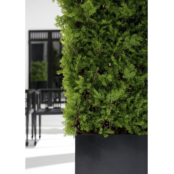 36"Hx34"W Outdoor UV-Resistant Artificial Ming Juniper Topiary Hedge w/Black Glossy Planter -Green - Image 3