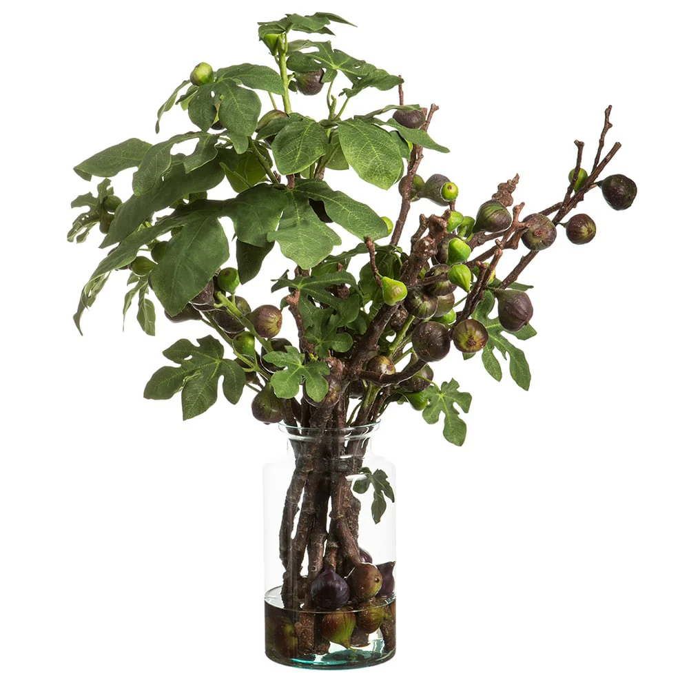 36"Hx35"W Artificial Fig Branches w/Glass Vase -Green/Burgundy