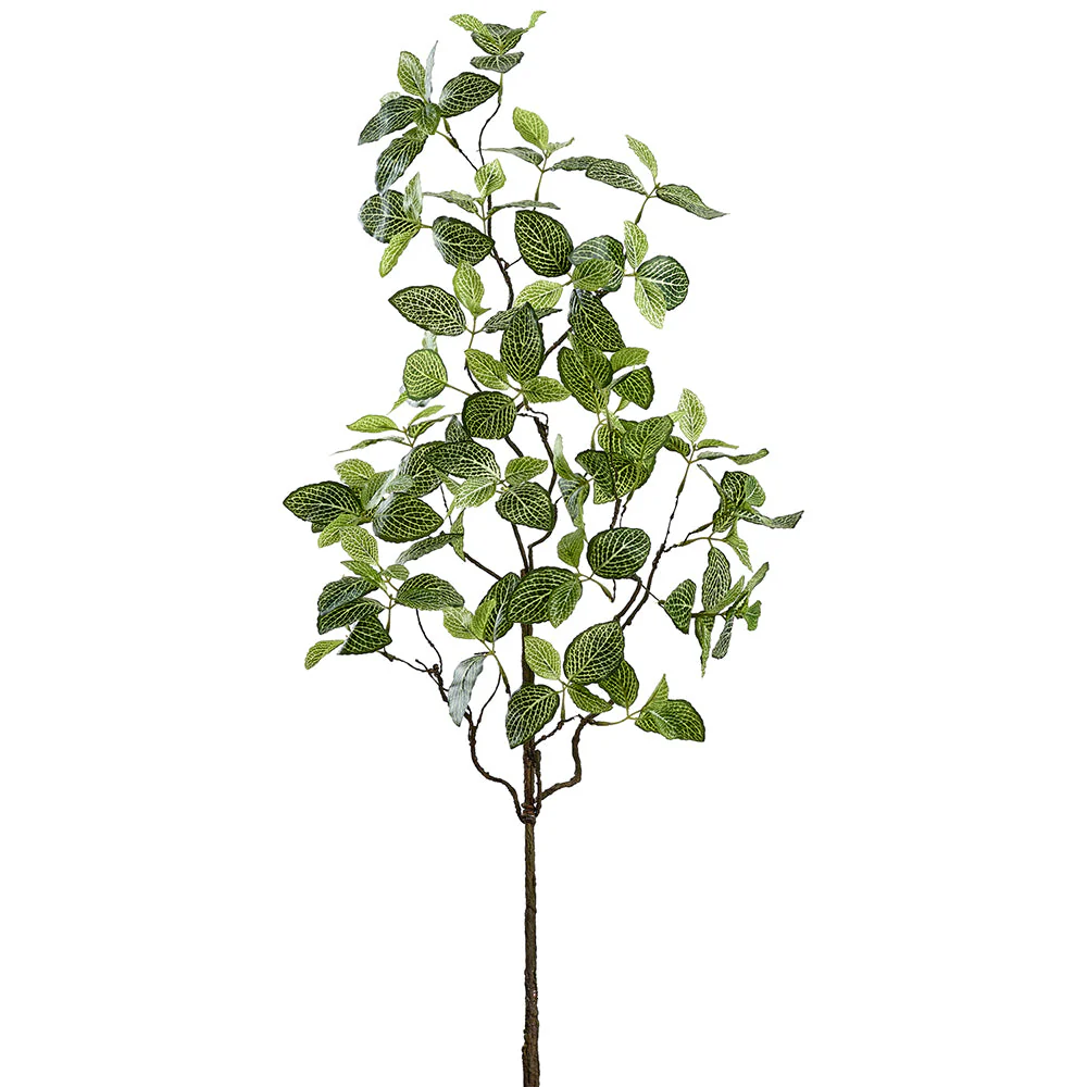 37" Fittonia Leaf Silk Stem -Green (Pack of 12)