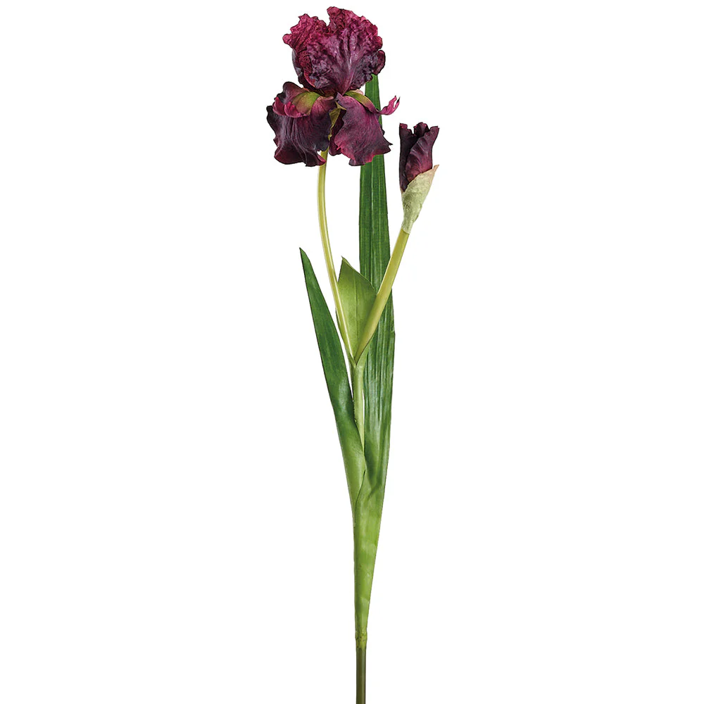 37" Iris Silk Flower Stem -Plum (Pack of 12)