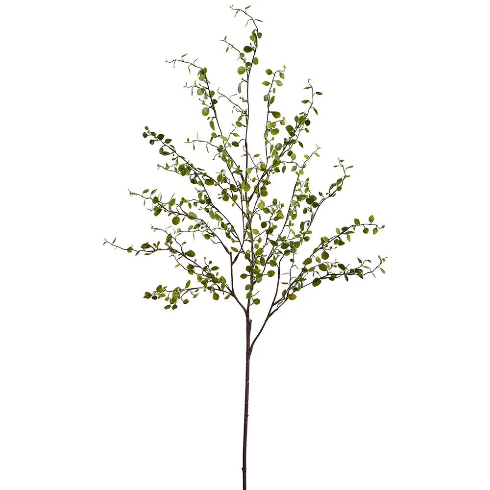 37" Muehlenbeckia Wire Leaf Silk Stem -Green (Pack of 12)