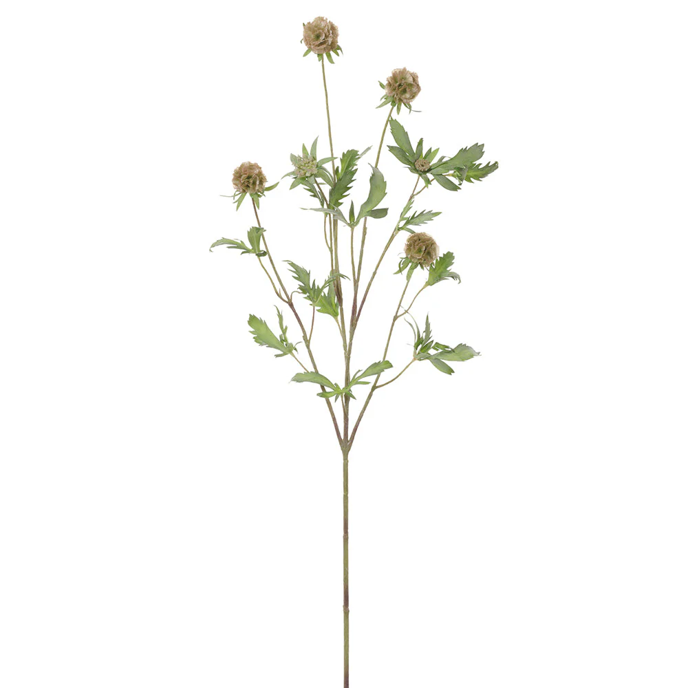 37" Scabiosa Silk Flower Stem -Tan/Green (Pack of 12)