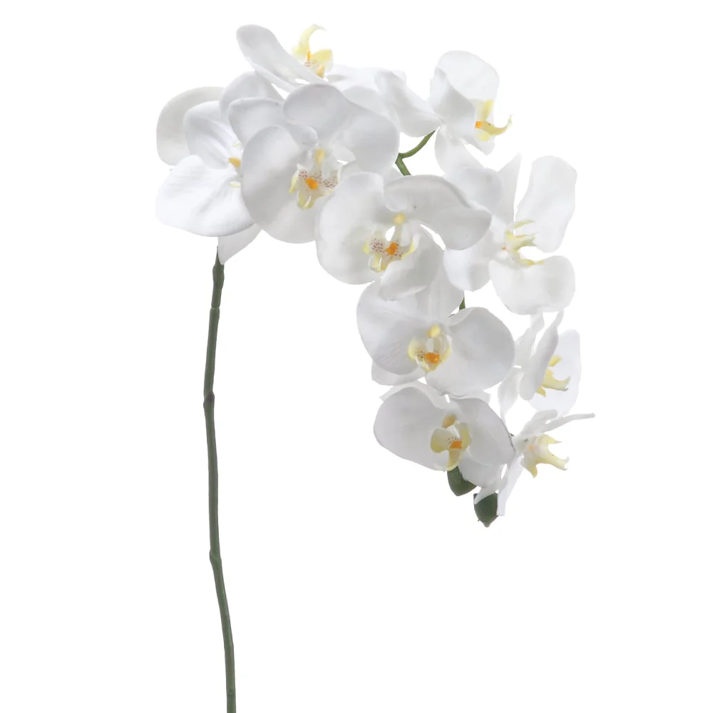 37" Silk Phalaenopsis Orchid Flower Spray -Cream (Pack of 12)