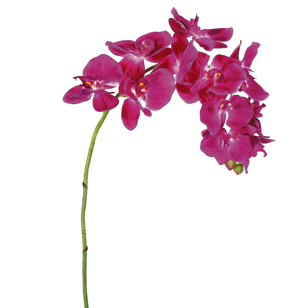 37" Silk Phalaenopsis Orchid Flower Spray -Orchid (Pack of 12)