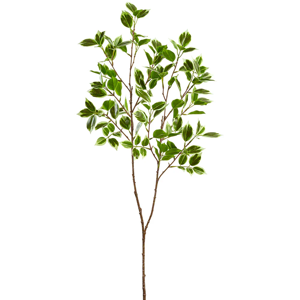 38.5" Ficus Leaf Silk Stem -2 Tone Green (Pack of 12)