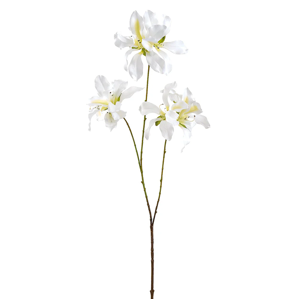 38" Bauhinia Hong Kong Orchid Silk Flower Stem -White (Pack of 12)