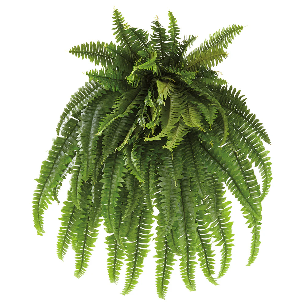 38" Boston Fern Leaf Silk Plant -Green (Pack of 2)