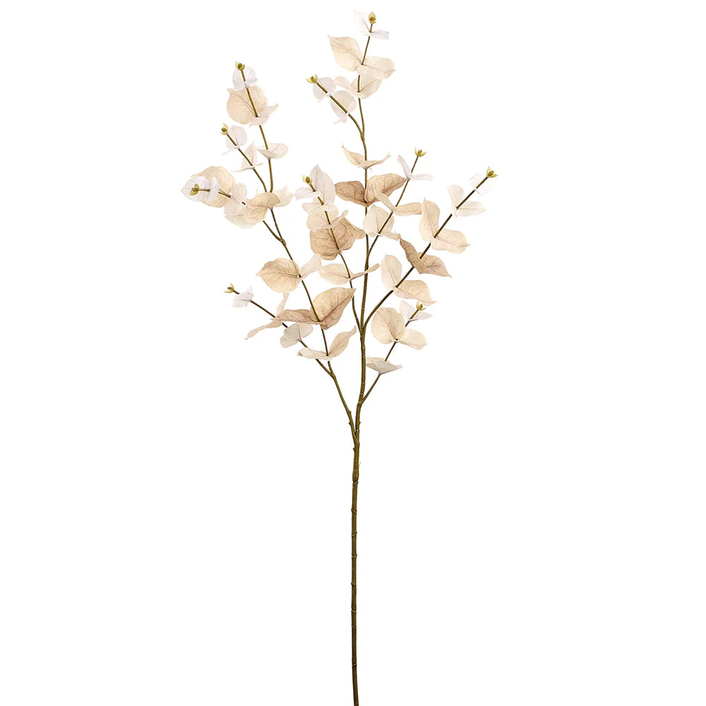 38" Eucalyptus Leaf Silk Stem -Beige (Pack of 24)
