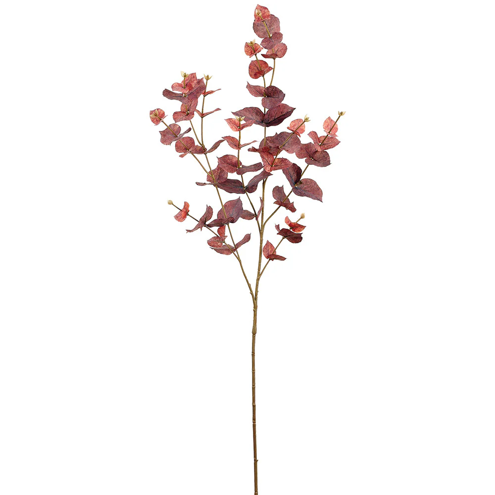 38" Eucalyptus Leaf Silk Stem -Brown (Pack of 24)