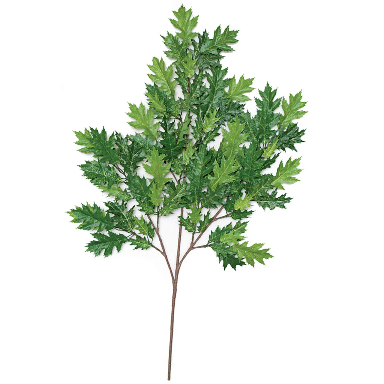 38" IFR Artificial Pin Oak Branch Stem -2 Tone Green (Pack of 6)