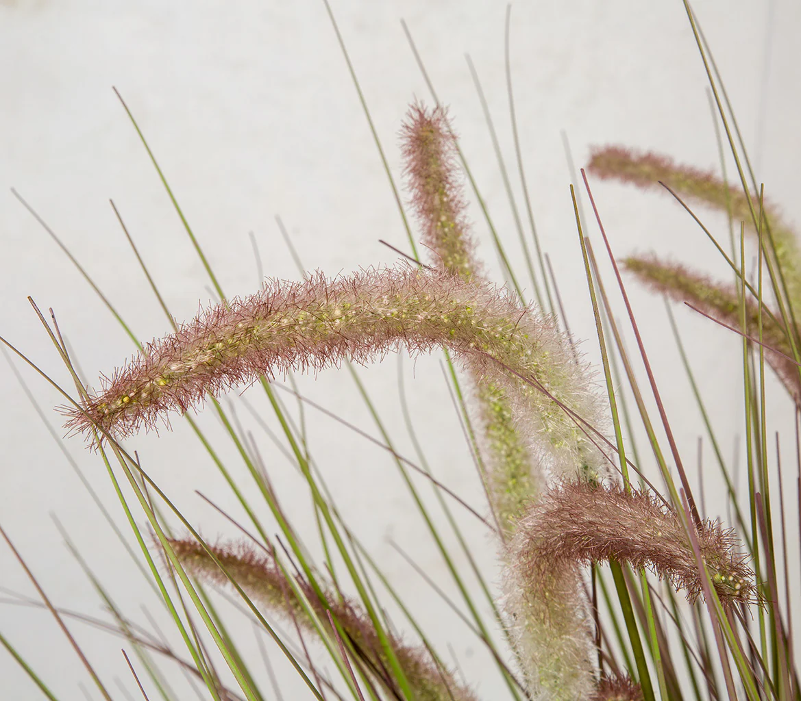 38" IFR PVC Onion Grass & Cattail Artificial Plant w/Pot -Lavender/Green - Image 3