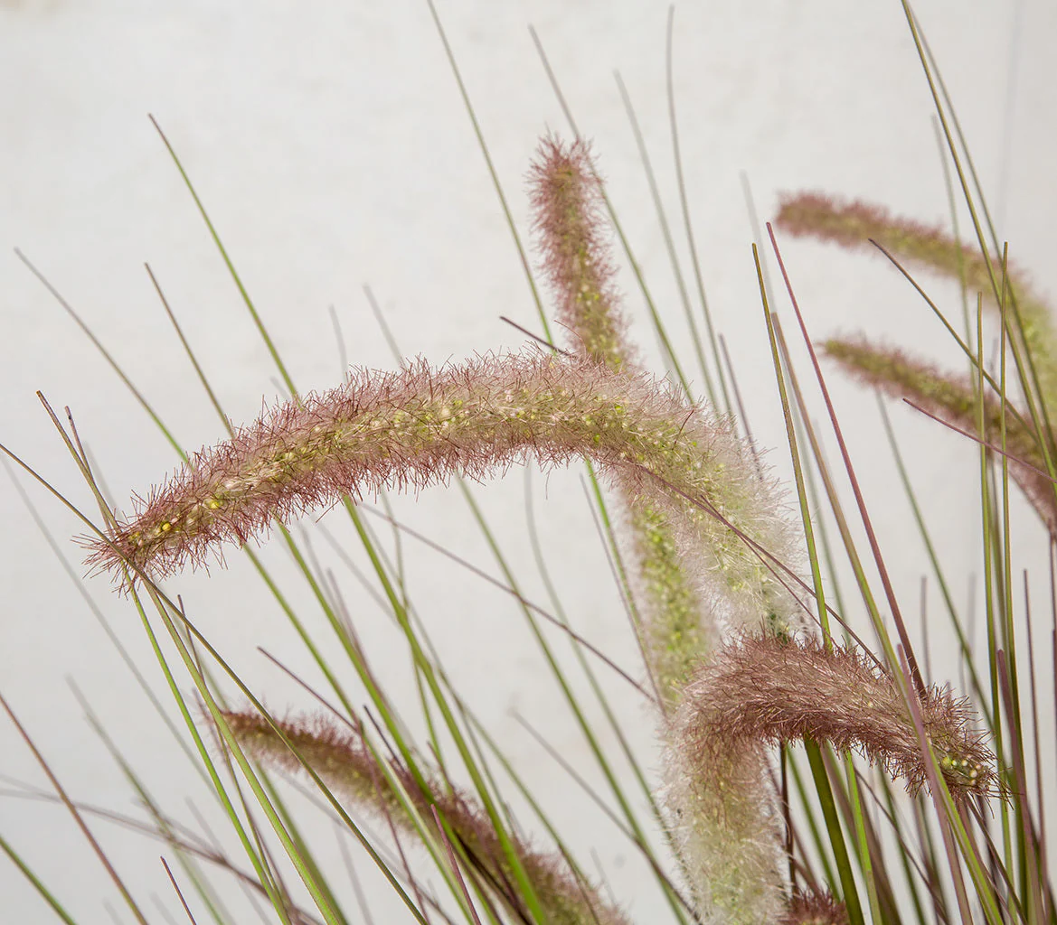 38" IFR PVC Onion Grass & Cattail Artificial Plant w/Pot -Lavender/Green - Image 4