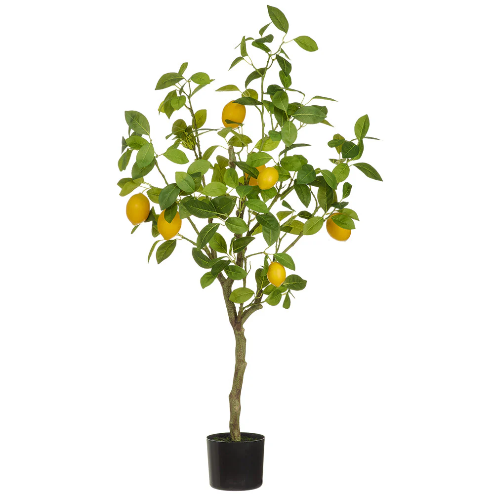 3'8" Lemon Fruiting Silk Tree w/Plastic Pot -Yellow (Pack of 2)
