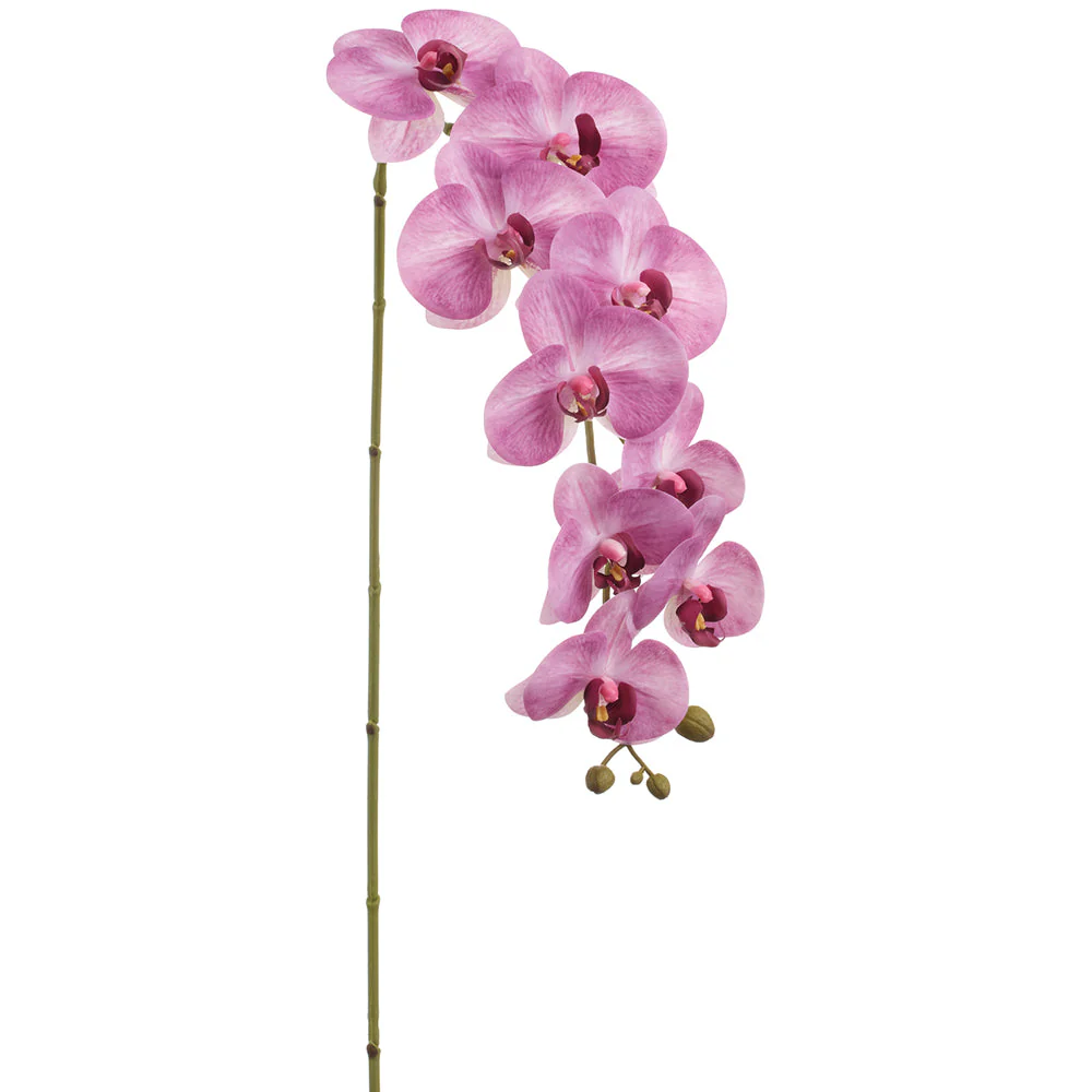38" Phalaenopsis Orchid Silk Flower Stem -Fuchsia (Pack of 12)