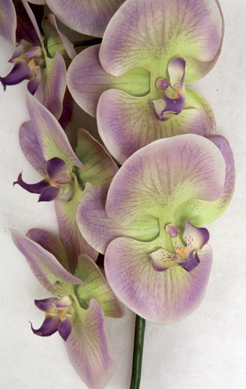 38" Silk Phalaenopsis Orchid Flower Stem -Lavender/Green (Pack of 4) - Image 2