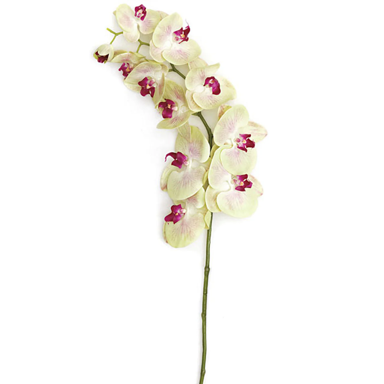 38" Silk Phalaenopsis Orchid Flower Stem -Light Green (Pack of 4)