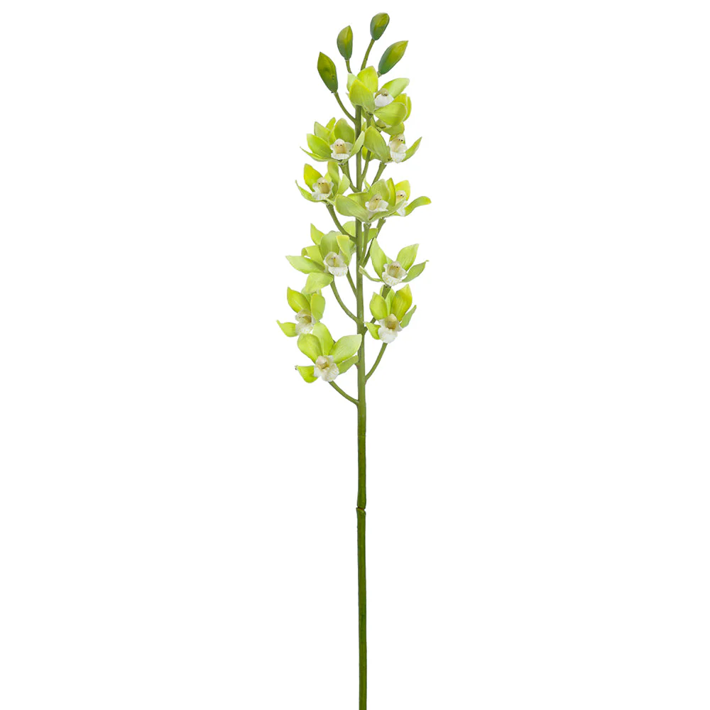 39" Dendrobium Orchid Silk Flower Stem -Green (Pack of 12)