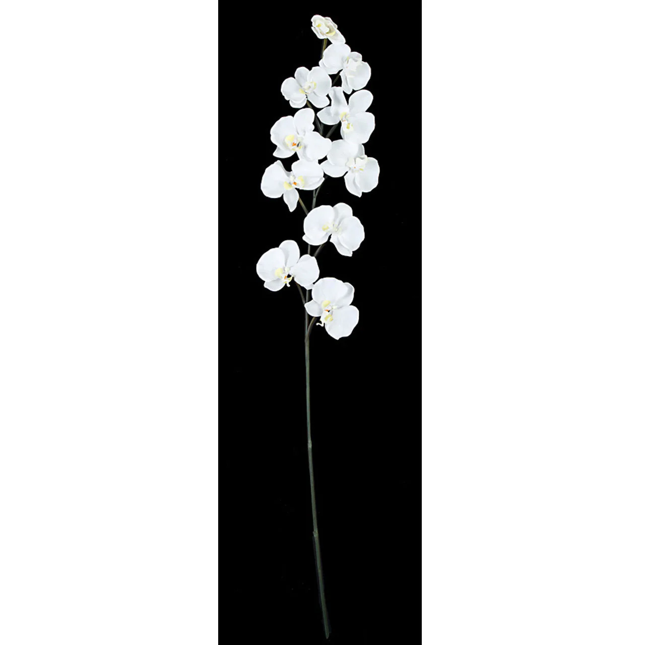 39" IFR Artificial Butterfly Orchid Flower Spray -White (Pack of 12)