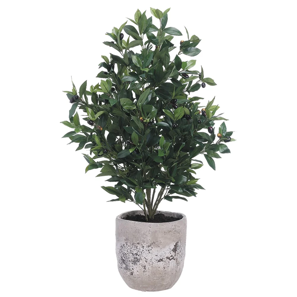 3'9" Olive Silk Tree w/Cement Planter -Green