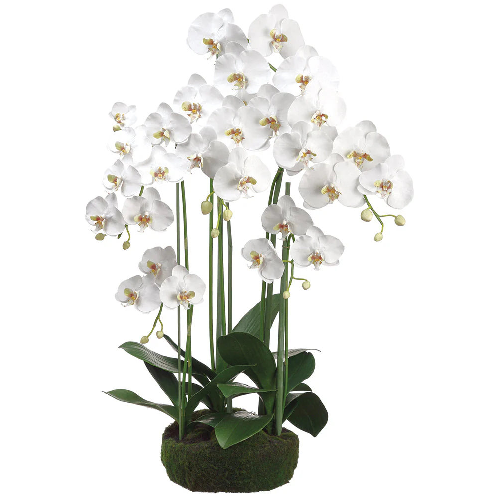 39" Phalaenopsis Orchid Silk Flower Arrangement w/Soil & Moss Base -White