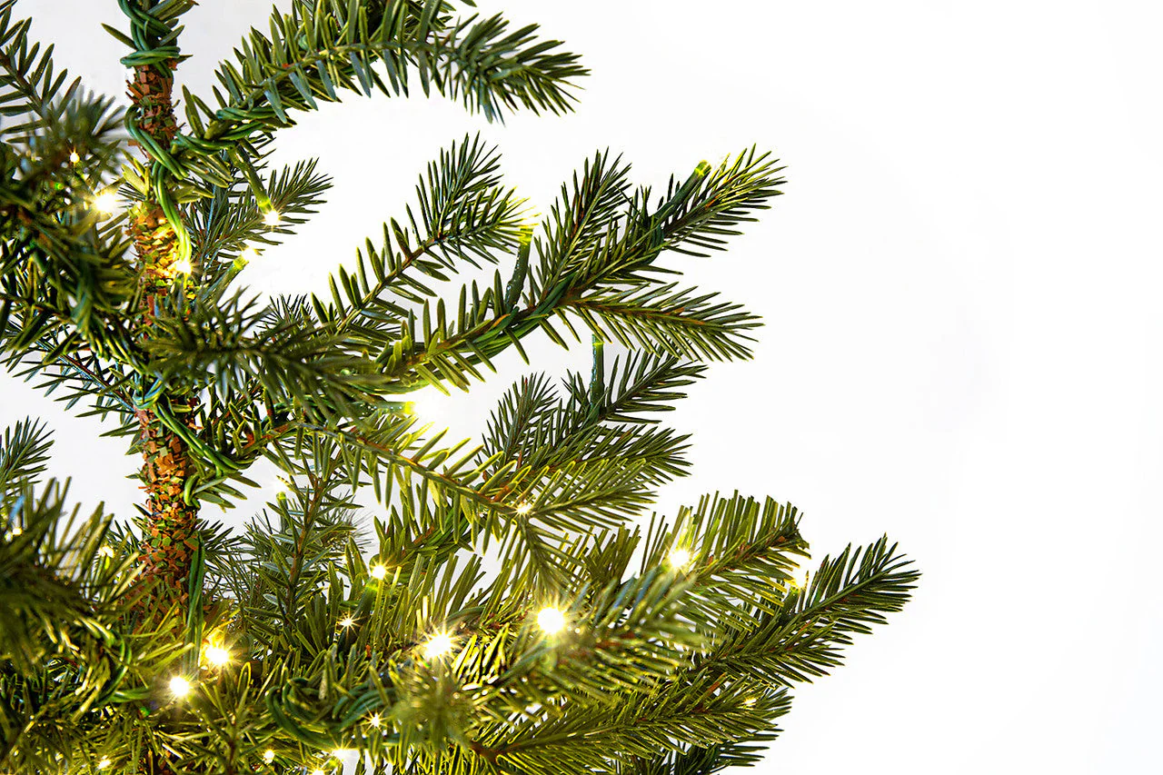 3'Hx25"W PE Western Hemlock Artificial Christmas Tree w/Wood Planter, Micro LED Pre-Lit -Green - Image 2