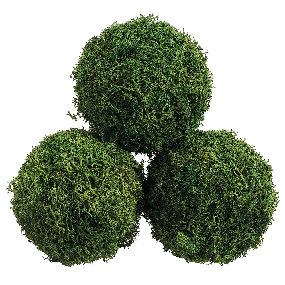 4.3" Preserved Sphagnum Moss Ball-Shaped Topiary -Green (Pack of 18)