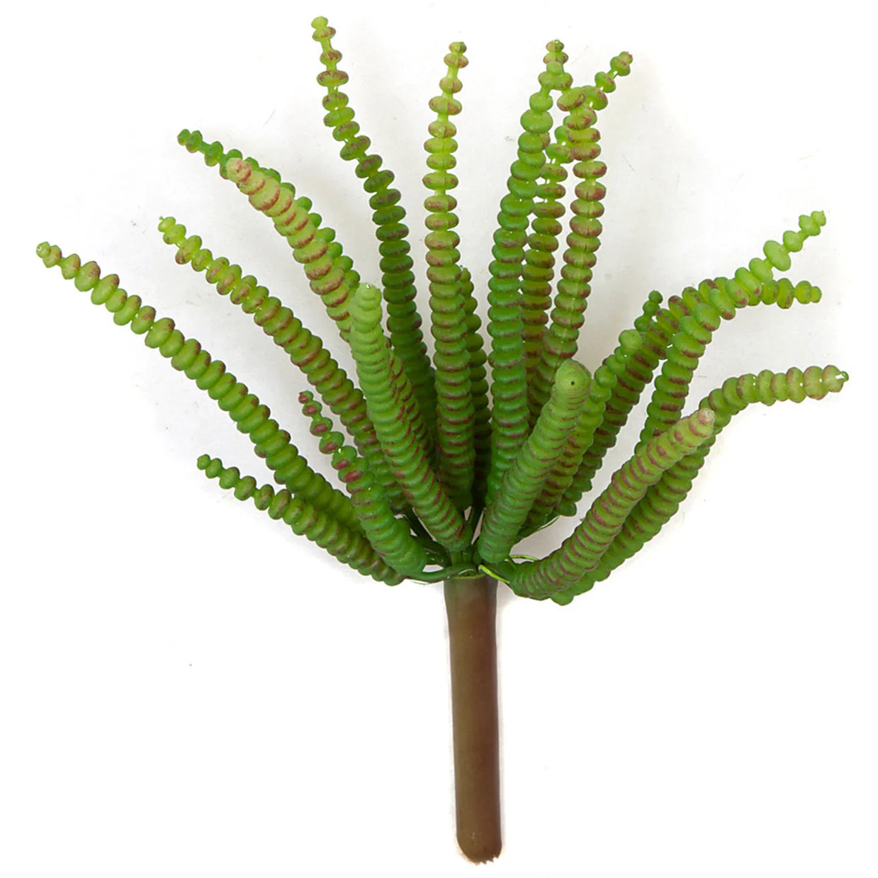 4.5" Artificial Crassula Stem Pick -Green/Brown (Pack of 24)