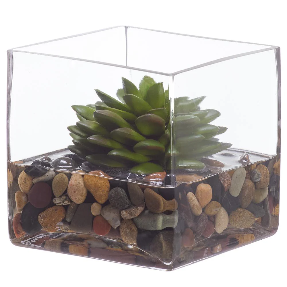4.75"Hx4.25"W Echeveria Succulent Artificial Plant w/Glass Vase -Green - Image 2