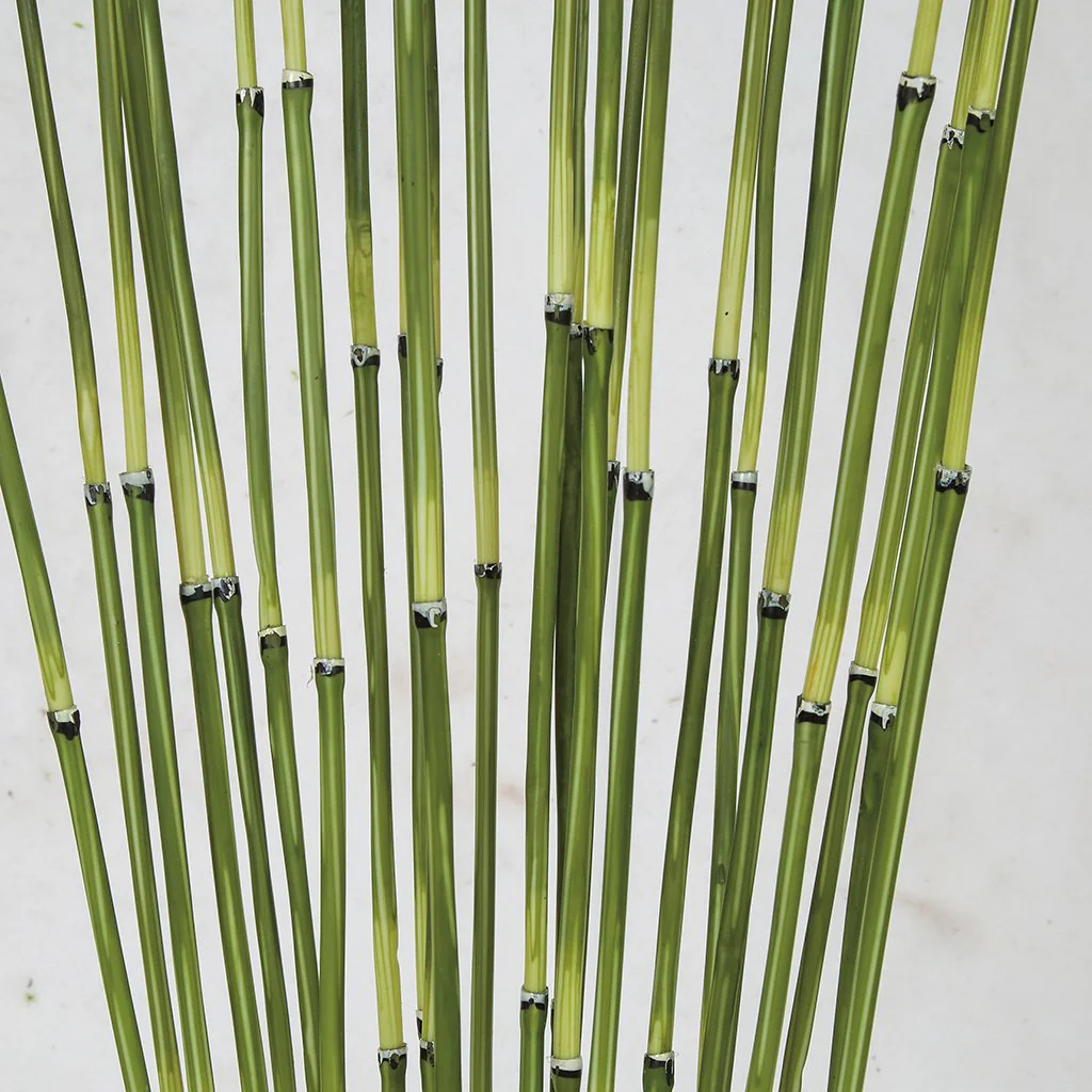 4' Artificial Equisetum Stem Plant w/Pot -2 Tone Green (Pack of 2) - Image 2