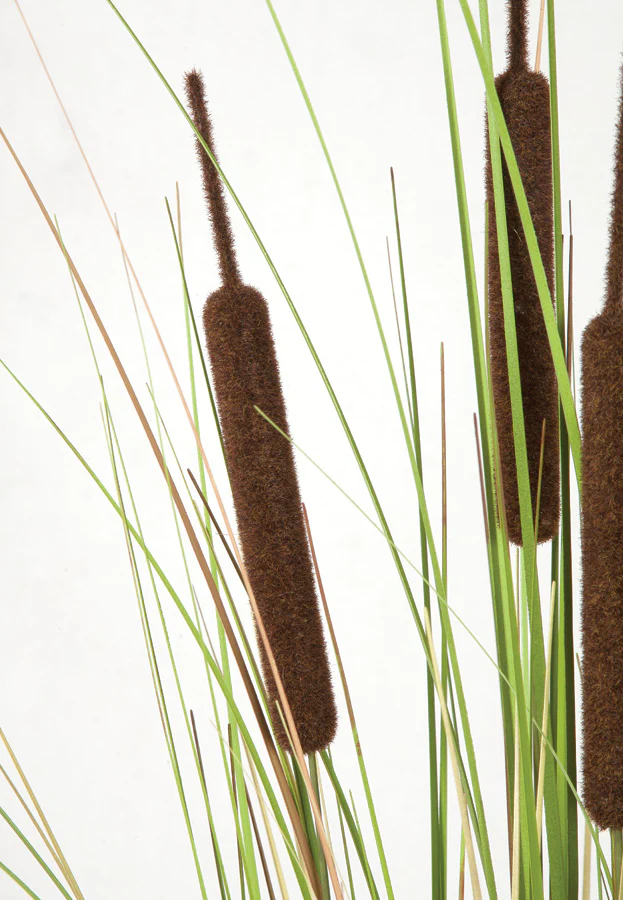 4' IFR PVC Cattail Grass Artificial Plant w/Pot -Brown/Green (Pack of 2) - Image 2