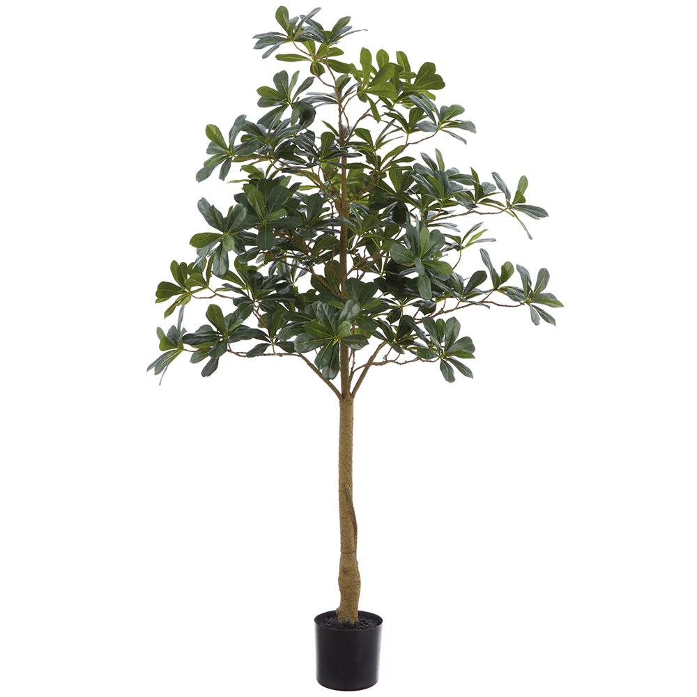 4' Schefflera Leaf Silk Tree w/Plastic Pot -Green (Pack of 4)