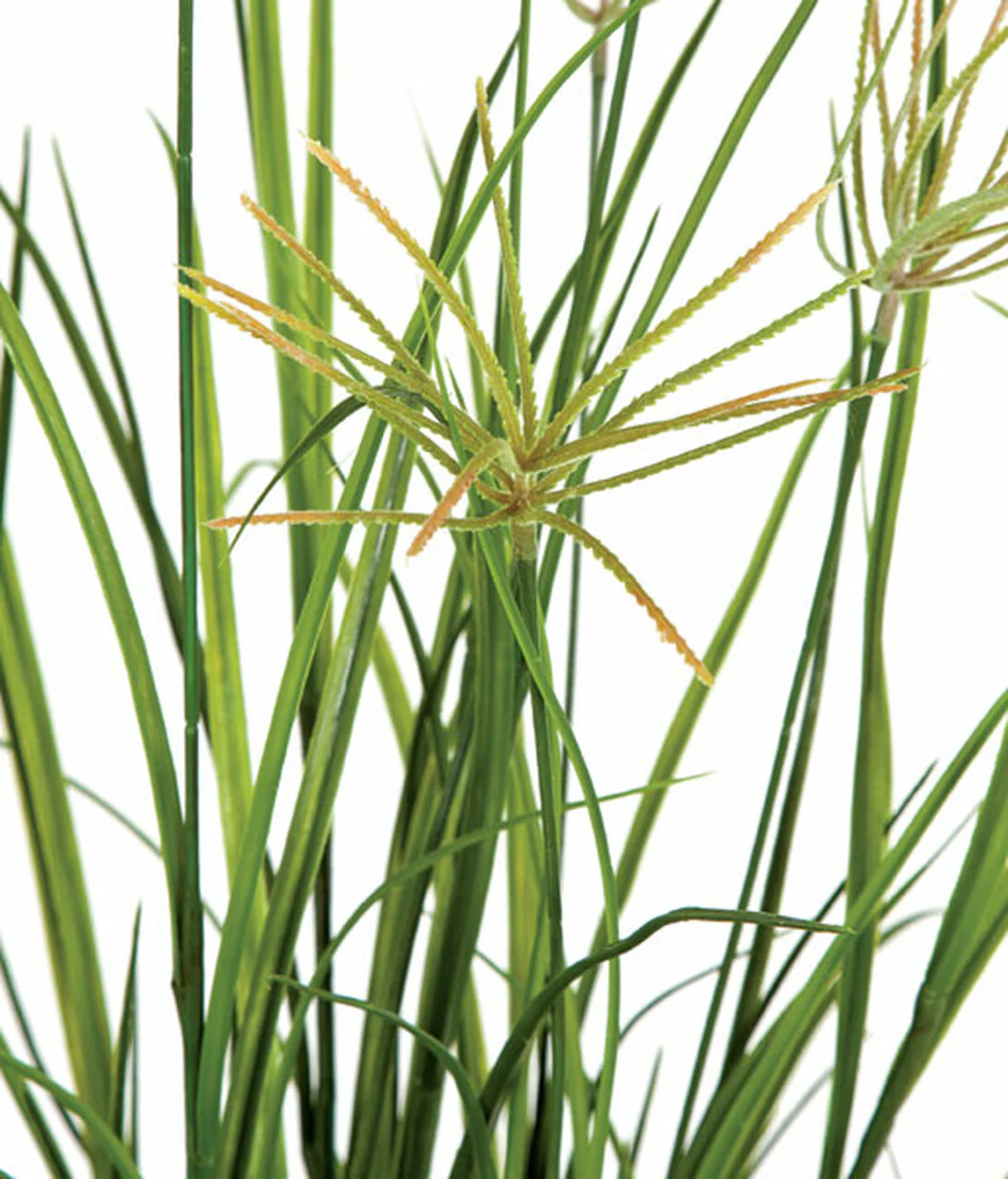 40" Artificial Flowering River Grass Plant -Green (Pack of 2) - Image 2