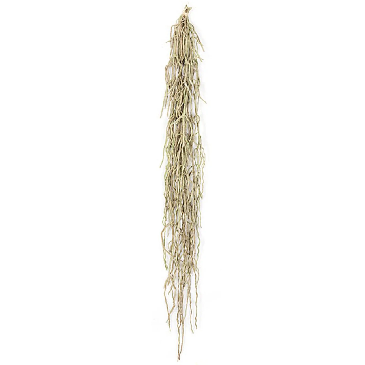 40" Artificial Orchid Root Stem -Gray/Green (Pack of 6)