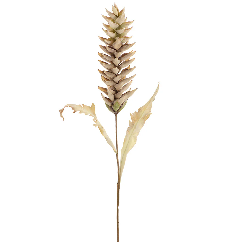 40" Dried-Look Artificial Heliconia Flower Stem -Beige (Pack of 12)