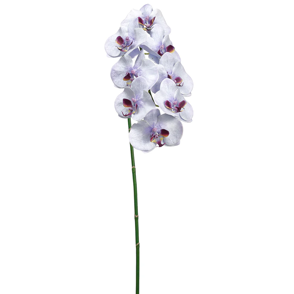 40" Hand-Wrapped Phalaenopsis Orchid Silk Flower Stem -White/Purple (Pack of 6)