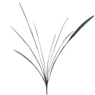 40" Hand-Wrapped Silk Cymbidium Orchid Leaf Plant Stem -Frosted Green (Pack of 12)