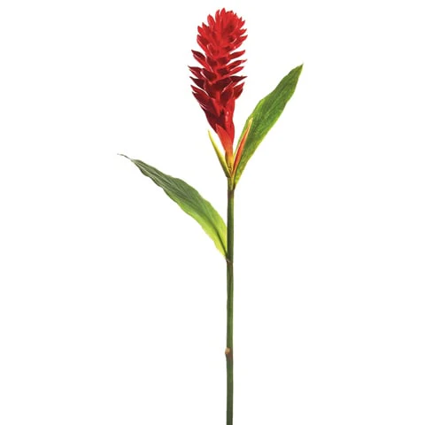 40" Hand-Wrapped Silk Ginger Flower Spray -Red (Pack of 6)