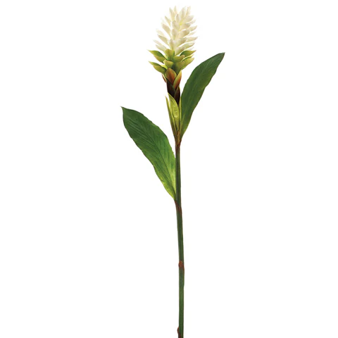 40" Hand-Wrapped Silk Ginger Flower Spray -White (Pack of 6)