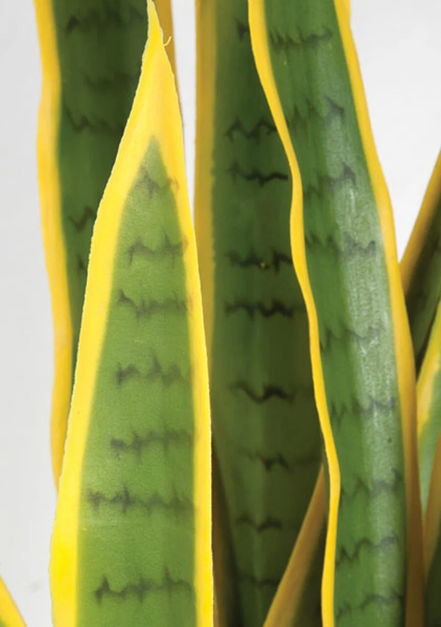 40" Sansevieria Snake Artificial Plant w/Pot -Green/Yellow - Image 2